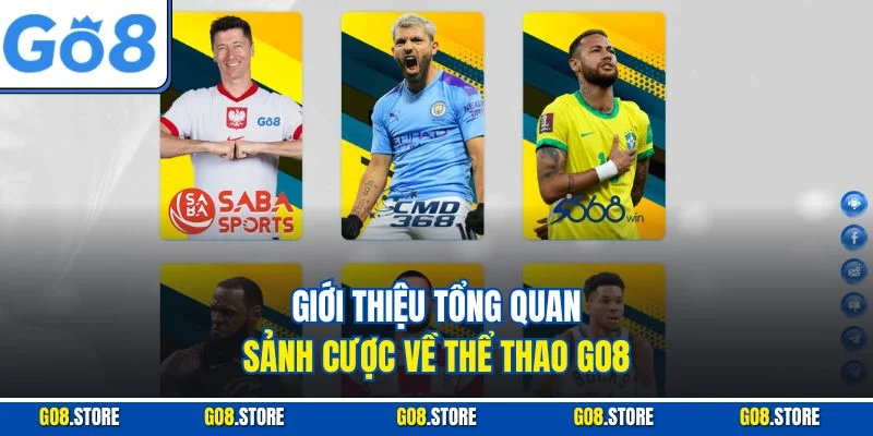 Giới thiệu tổng quan sảnh cược về Thể thao GO8
