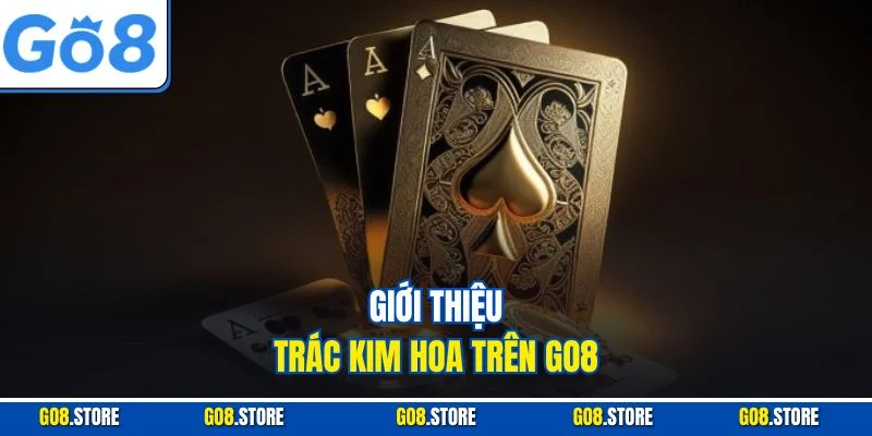 Giới thiệu Trác Kim Hoa trên GO8