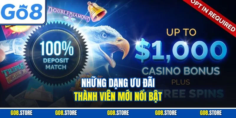 Những dạng ưu đãi thành viên mới nổi bật